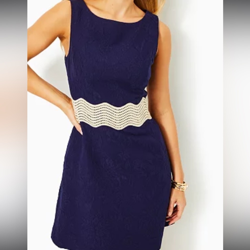 Lilly Pulitzer Blue Tan A-Line Mini Dress - Picture 2 of 2